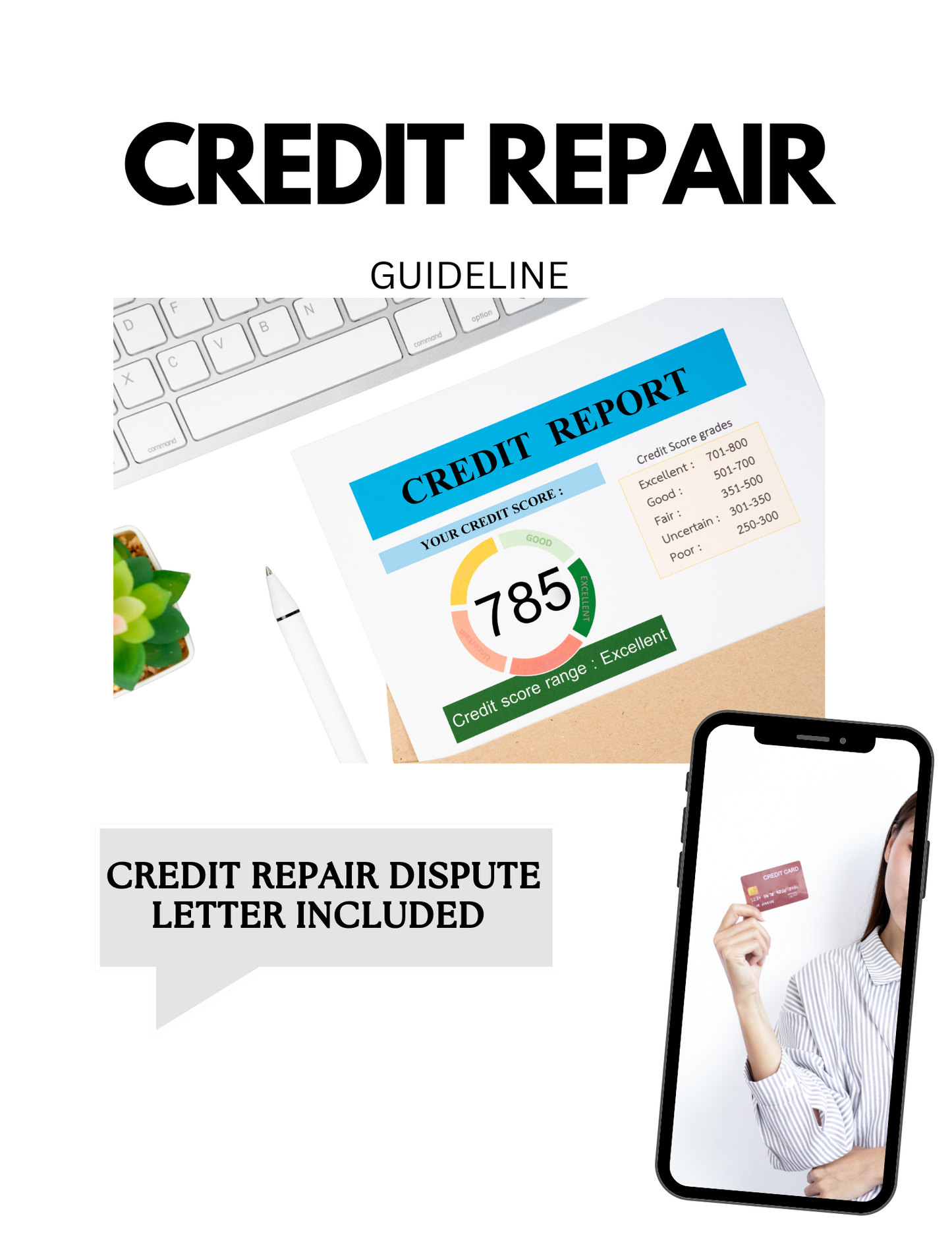 Credit Repair with PLR