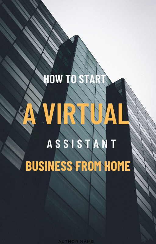 HOW TO START A VIRTUAL ASSISTANT BUSINESS with PLR